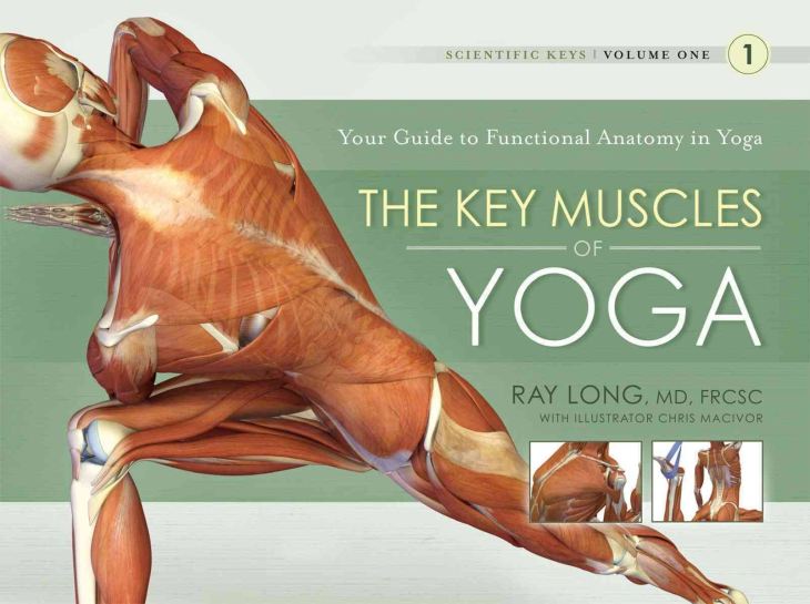 key muscles of yoga
